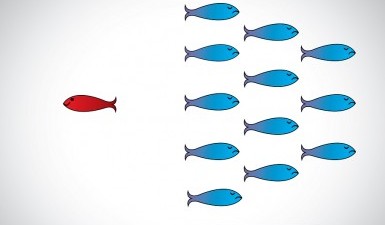 ISO 17024 Standards for Training System Accreditation